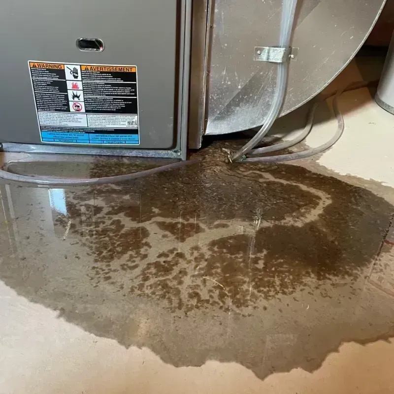 Appliance Leak Cleanup in McLean County, IL